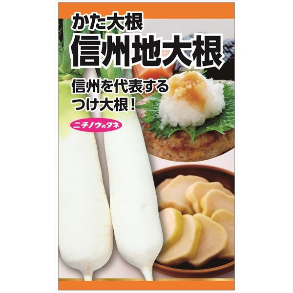 ニチノウのタネ 信州地大根 日本農産種苗 4960599258502 1セット（5袋入）（直送品）