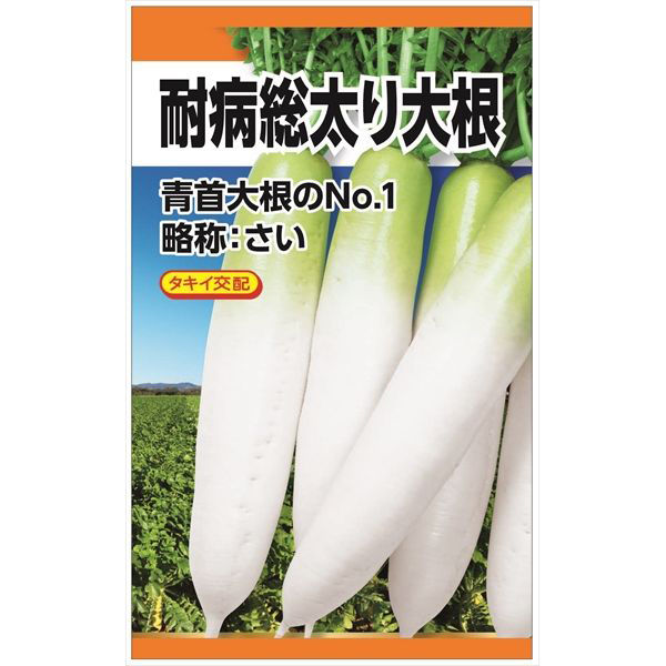 ニチノウのタネ タキイ交配 耐病総太り大根 日本農産種苗 4960599259301 1セット（3袋入）（直送品）