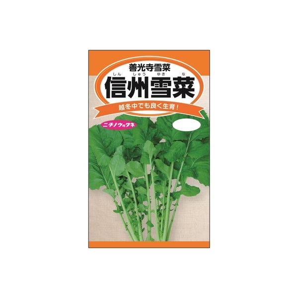 ニチノウのタネ 信州雪菜（善光寺雪菜） 日本農産種苗 4960599247803 1セット（5袋入）（直送品）