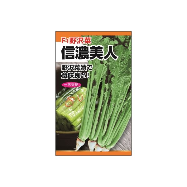 ニチノウのタネ 信濃美人（F1野沢菜） 日本農産種苗 4960599261304 1セット（3袋入）（直送品）