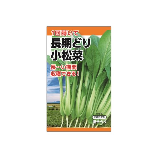 ニチノウのタネ 長期どり小松菜 日本農産種苗 4960599183705 1セット（5袋入）（直送品）
