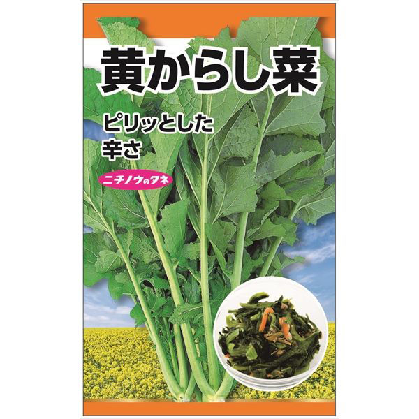 ニチノウのタネ 黄からし菜 日本農産種苗 4960599200303 1セット（5袋入）（直送品）