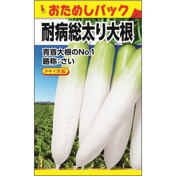 ニチノウのタネ タキイ交配 耐病総太り大根（おためしパック） 日本農産種苗 4960599261007 1セット（5袋入）（直送品）