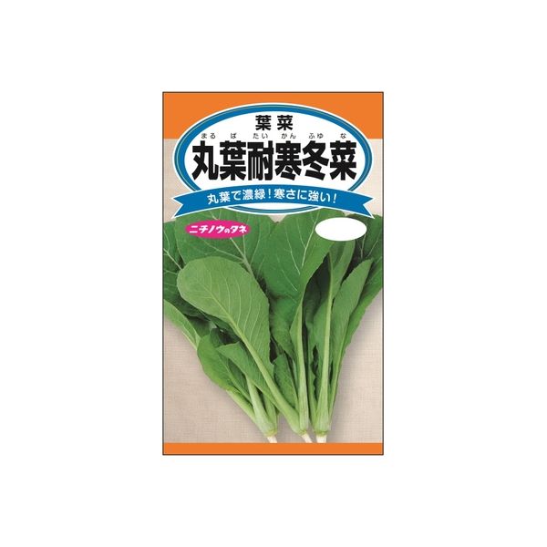 ニチノウのタネ 丸葉耐寒冬菜 日本農産種苗 4960599200501 1セット（5袋入）（直送品）