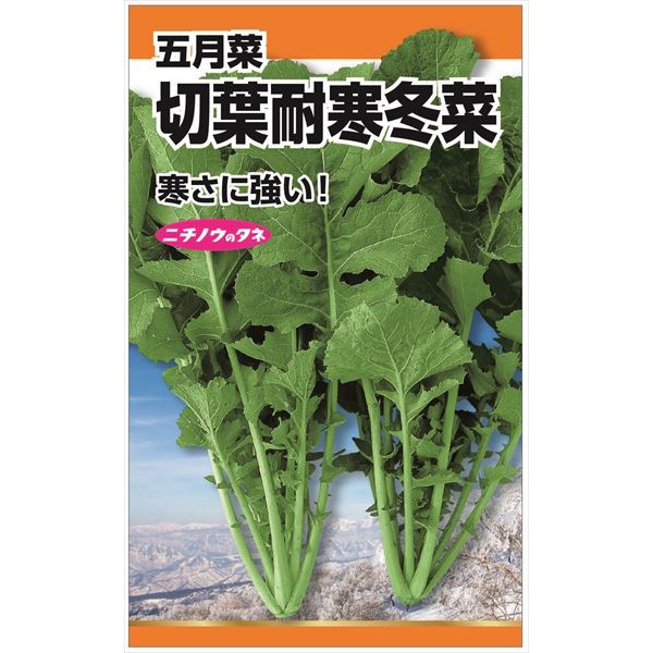 ニチノウのタネ 切葉耐寒冬菜（五月菜） 日本農産種苗 4960599200600 1セット（5袋入）（直送品）