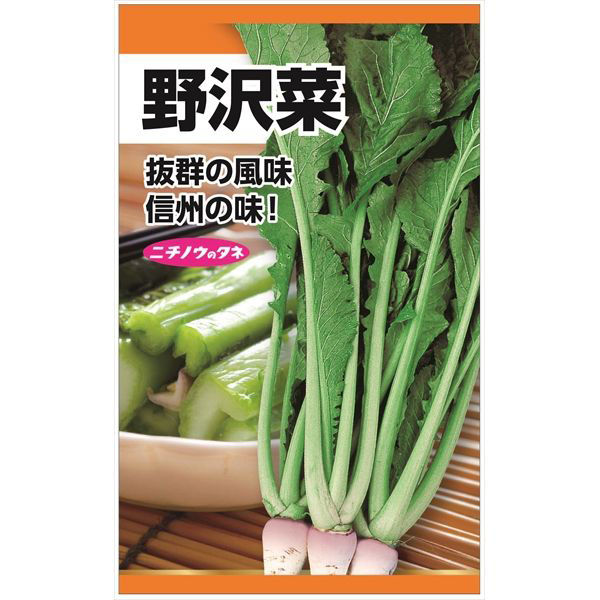 ニチノウのタネ　野沢菜　4960599264800　日本農産種苗　1セット（5袋入）（直送品）