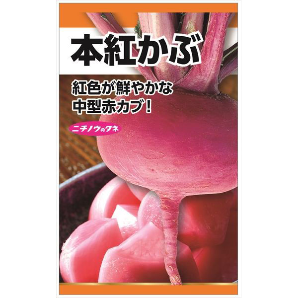 ニチノウのタネ 本紅かぶ 日本農産種苗 4960599248206 1セット（5袋入）（直送品）
