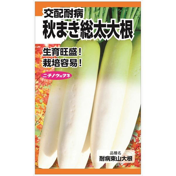 ニチノウのタネ　交配耐病秋まき総太大根（東山） 総太東山大根（交配耐病） 4960599248701 1セット（5袋入）（直送品）