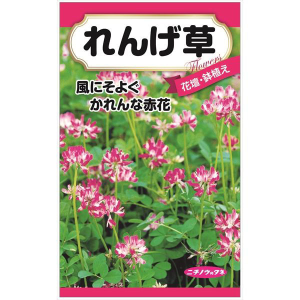 ニチノウのタネ れんげ草 日本農産種苗 4960599411587 1セット（5袋入）（直送品） - アスクル