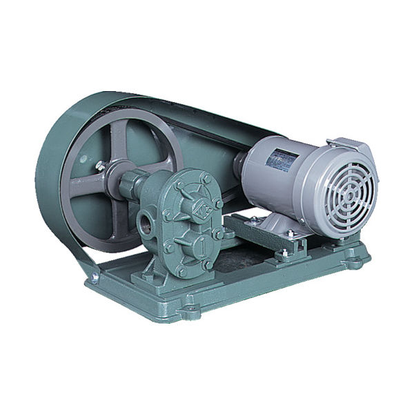 亀嶋鐵工所 NK ギヤーポンプ(電動機連結型) 口径10A KAS03 1台 457-5661（直送品）