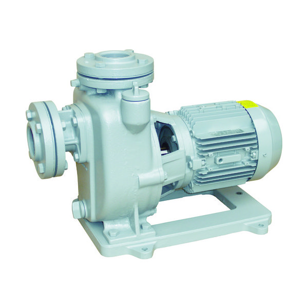 寺田 陸上ポンプ セルプラポンプ 全閉外扇屋外形電動機付 50Hz 0.75kW 全揚程14m MPJ3-50.71E 1台（直送品）