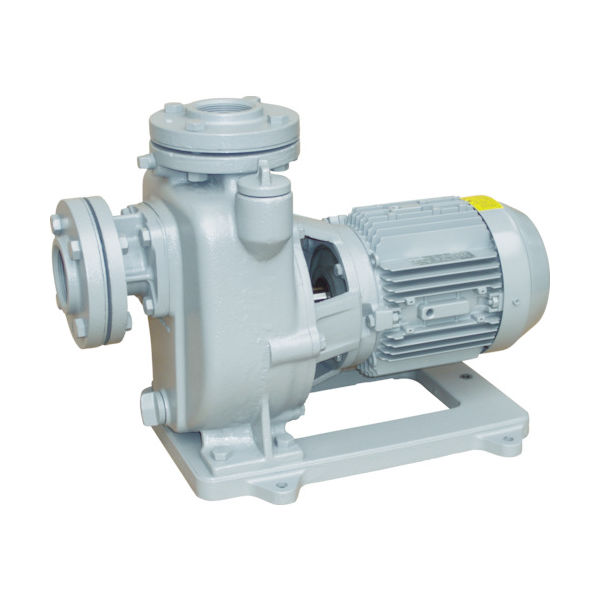 寺田 陸上ポンプ セルプラポンプ 全閉外扇屋外形電動機付 50Hz 1.5kW 全揚程12.5m MPJ5-51.51E 1台（直送品）