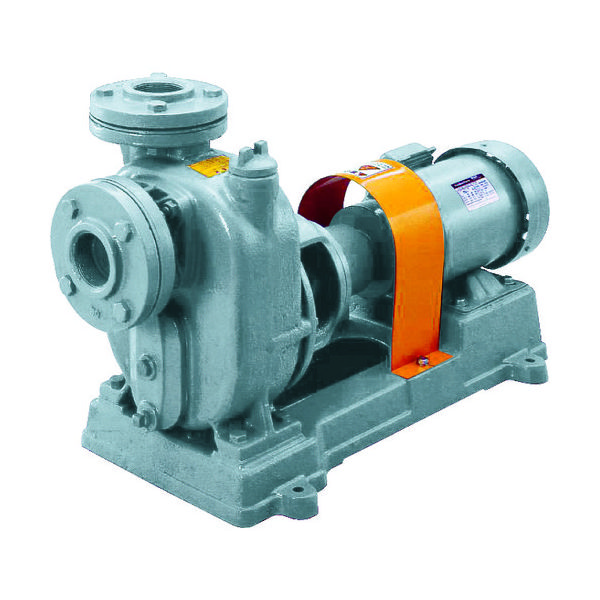 寺田ポンプ製作所 寺田 セルプラポンプ 鋳鉄製グランド式 50Hz 0.75kW 全揚程8.5m モーター付 O-4GE WM 1台（直送品）