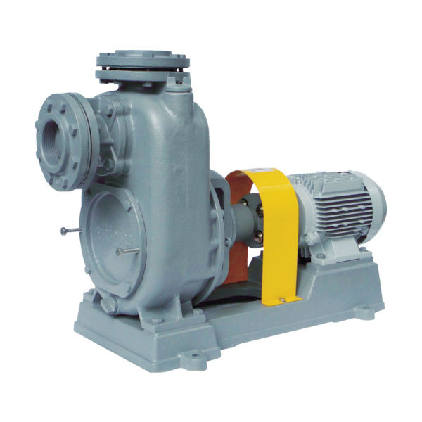 寺田ポンプ製作所 寺田 陸上ポンプ セルプラポンプ 鋳鉄製メカ式 50Hz 3.7kW TO-7GE 1台 775-7166（直送品）