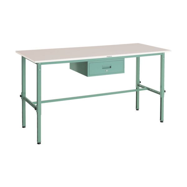 RAEM-1809F1（直送品）