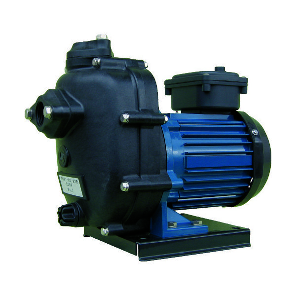 寺田ポンプ製作所 寺田 セルプラテクポン 単相100V 全閉外扇屋外形モートル付 50Hz CMP2-50.2R 1台 397-5649（直送品）