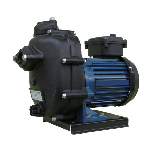 寺田ポンプ製作所 寺田 セルプラテクポン 単相100V 全閉外扇屋外形モートル付 60Hz CMP3N-60.4R 1台 397-5703（直送品）