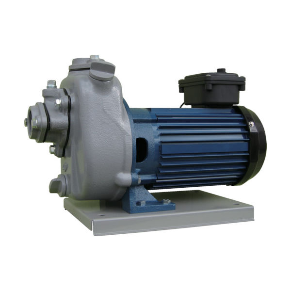 寺田ポンプ製作所 寺田 陸上ポンプ セルプラポンプ 全閉外扇屋外形電動機付 60Hz 単相100 全揚程14m MPT1-0021R 1台（直送品）