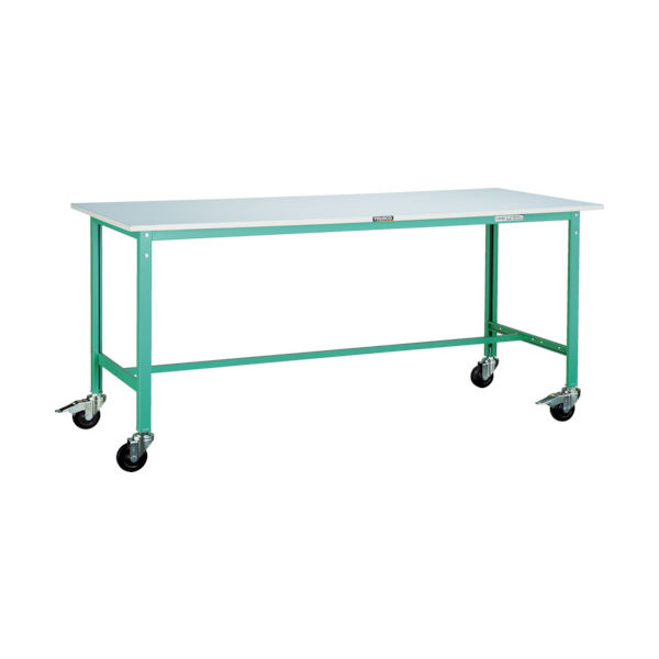 RAE-0960C100 DG（直送品）