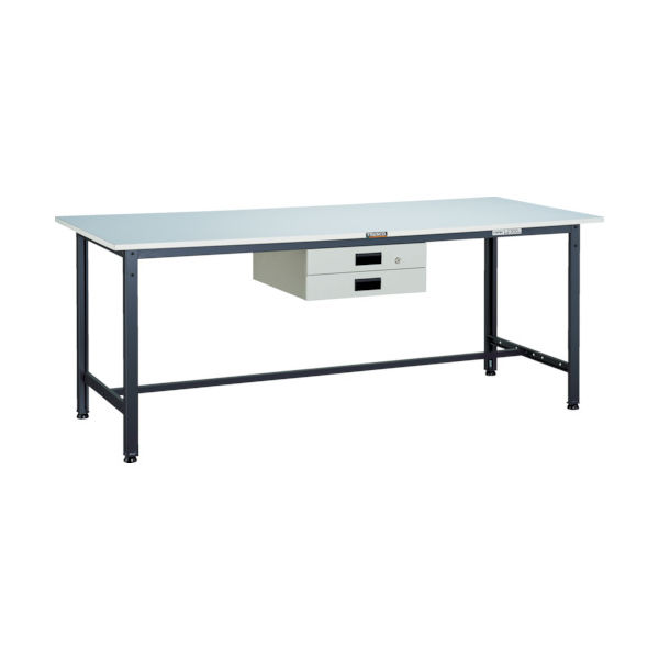 TRUSCO 軽荷重作業台(300kg)AE型 1800X900XH740 薄型2段引出付 ダークグレー色 RAE-1809UDK2 DG（直送品）