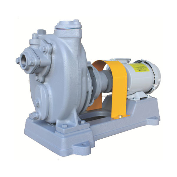 寺田ポンプ製作所 寺田 セルプラポンプ 鋳鉄製グランド式 50Hz 0.20kw 全揚程4.6m モーター付 O-2G 200V WM 1台（直送品）