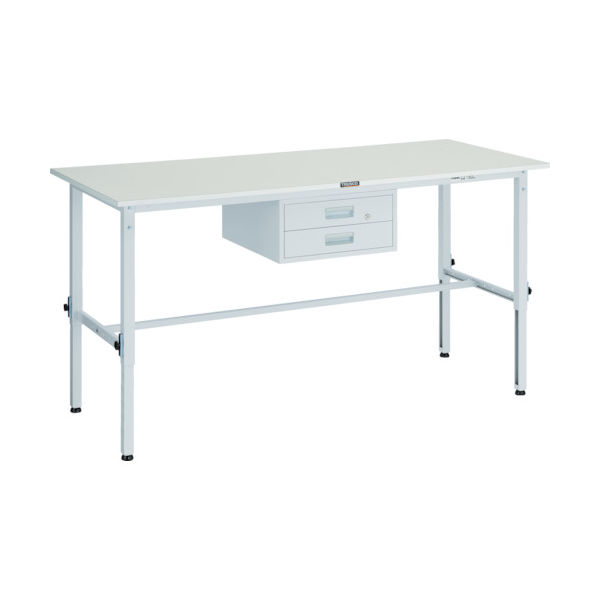 RAEM-1809F2 W（直送品）