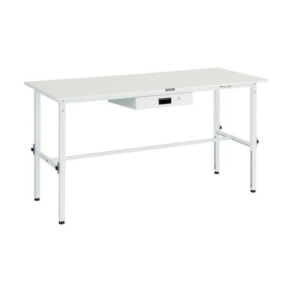 RAEM-1809UDK1 W（直送品）