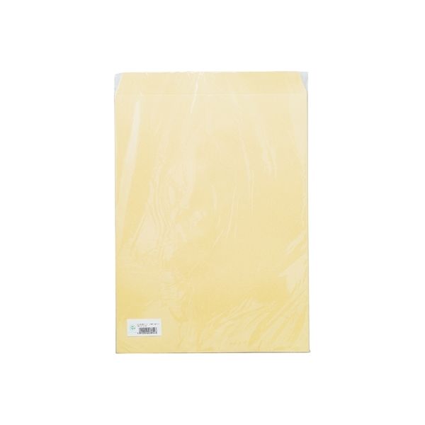 寿堂 大型クラフト封筒A3マチなし10枚パック*10 3854（10）（直送品）