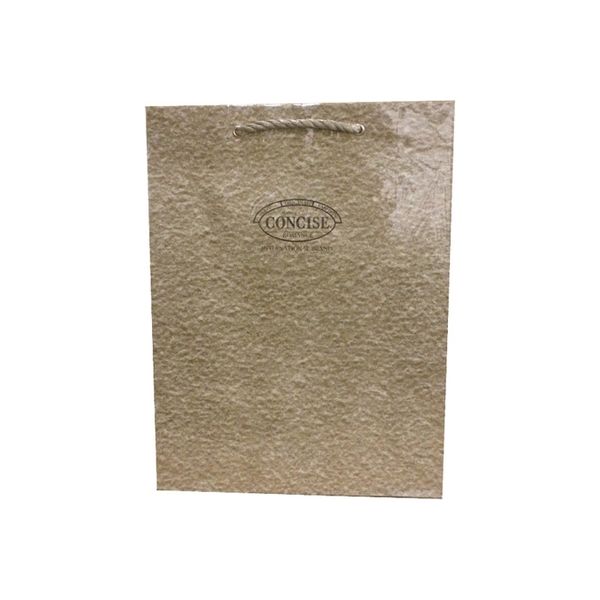 東京ユニオン 手提袋 コンサイス 大 セピア No-820A（直送品）