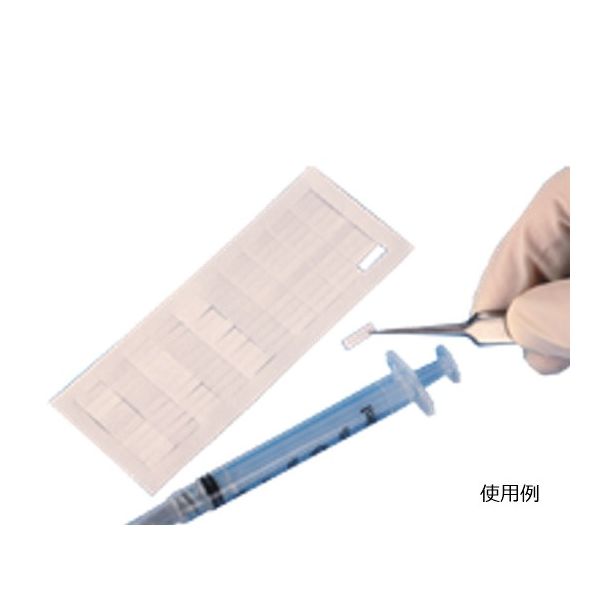 S1X25/6G（直送品）