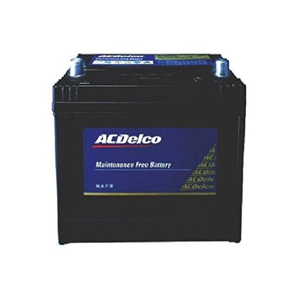 【カー用品】ACデルコ（ACDELCO） 輸入車バッテリー Maintenance Free Battery G-75-6 1個（直送品）