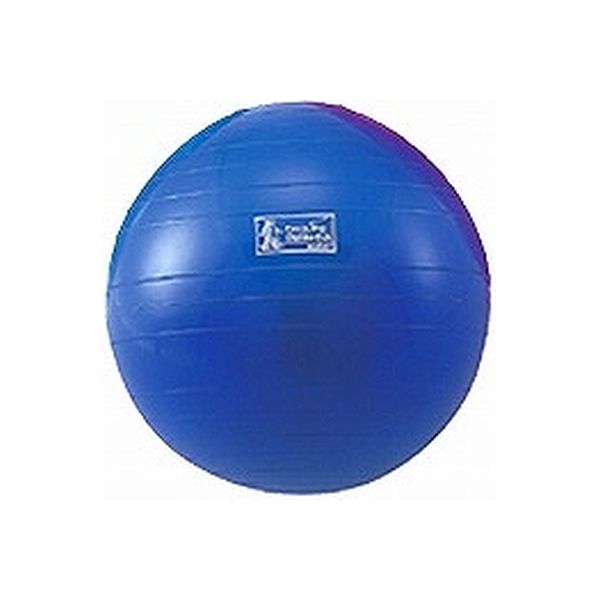 モルテン エクササイズボール 直径45cm ブルー MXEB45　　　介援隊カタログ O0166（直送品）