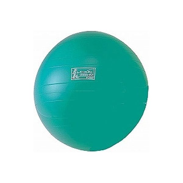 モルテン エクササイズボール 直径55cm グリーン MXEB55　　　介援隊カタログ O0166（直送品）