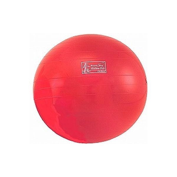 モルテン エクササイズボール 直径65cm レッド MXEB65　　　介援隊カタログ O0166（直送品）