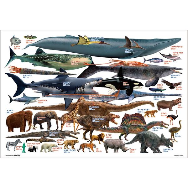 ビバリー 巨大生物くらべてみよう! 150ピース L74-184 1個（直送