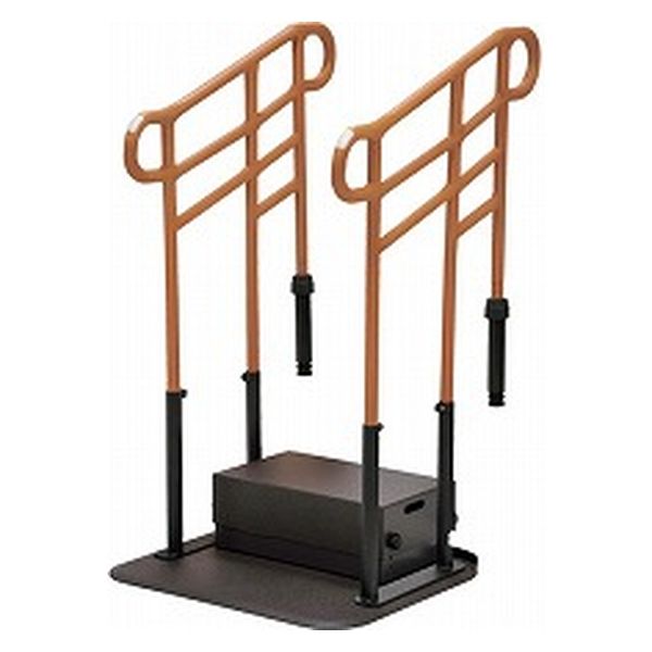 モルテン ルーツ　あがりかまちタイプ高さH型台付　両手すり　MNTPKH2SBR 4905741906535 1台（直送品）