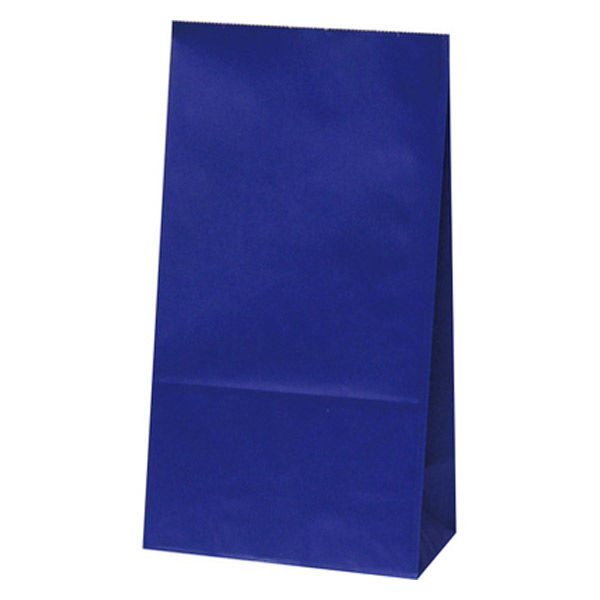 【紙袋】ハイバッグ（角底袋） H6 マリン XZT00406 1袋（100枚入）パックタケヤマ