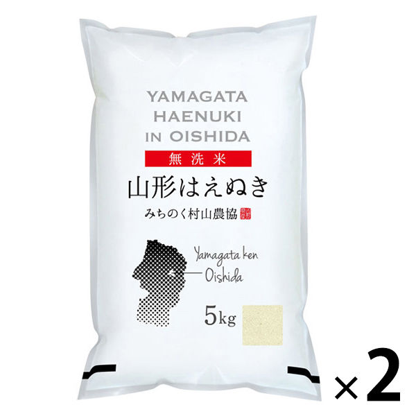 はえぬき 10kg 精米