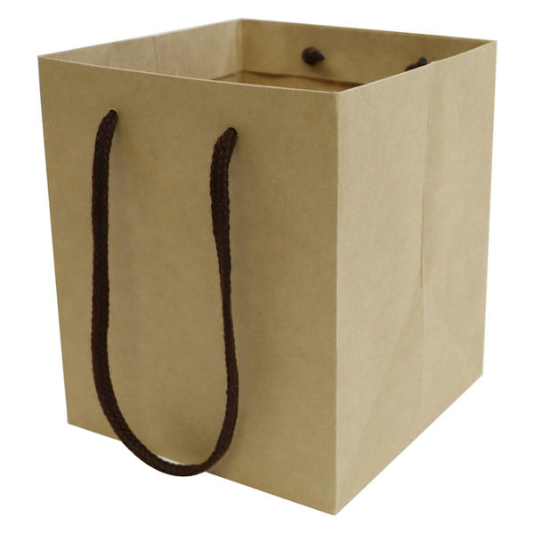 紙袋】クラフトバッグ 真四角型 Mサイズ 1セット（50枚:10枚入×5袋 