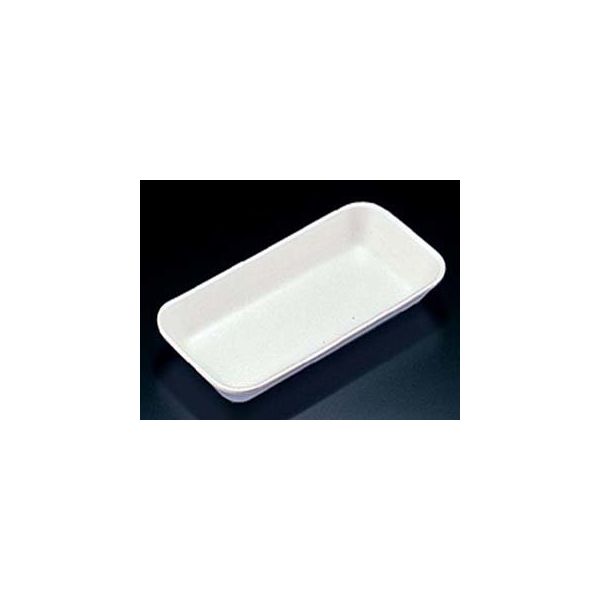 GS20-10C(GP23)　2400枚(100×24) FGPL101　リスパック（直送品）