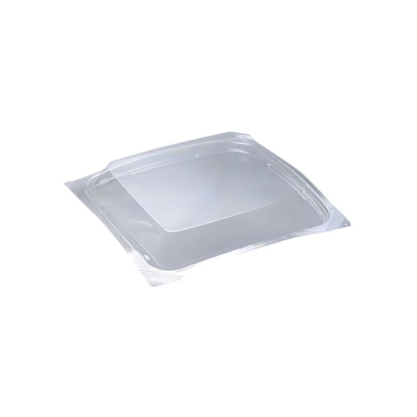 バイオデリカ リッジ19 OC　600枚(50×12) RHBH339　リスパック（直送品）