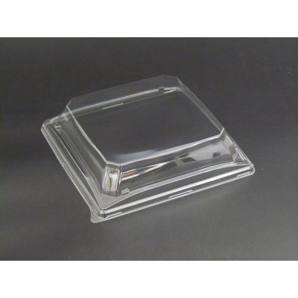 魅せ盛 09-OC　600枚(50×12) RRB3379　リスパック（直送品）