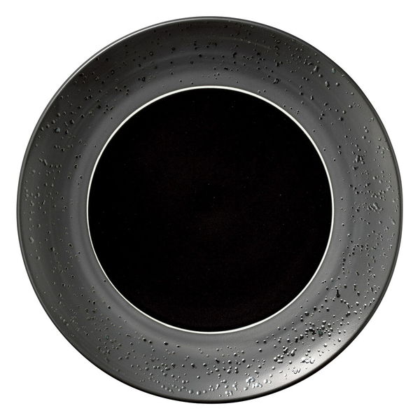陶雅 中皿 ルミノ ブラック22プレート [2個入] tga-1418-188（直送品）