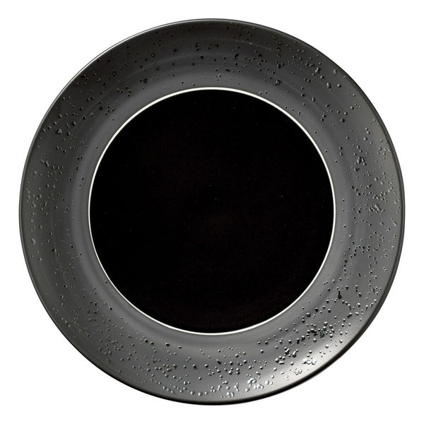陶雅 中皿 ルミノ ブラック24プレート [2個入] tga-1418-192（直送品）