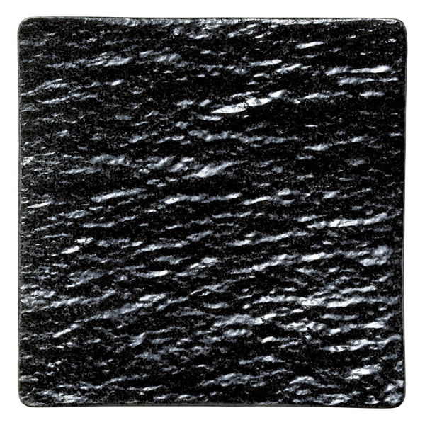 陶雅 正角皿 ブラックルーインズ 26cm正角皿 [2個入] tga-1818-257（直送品） 7,817円