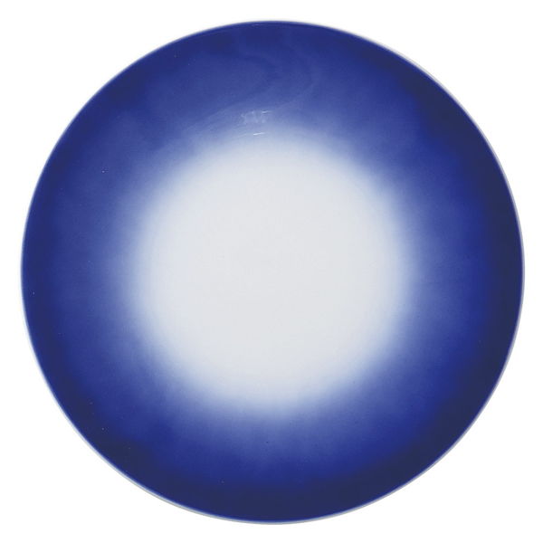 陶雅 大皿 藍彩27cmプレート [1個入] tga-4518-095（直送品）