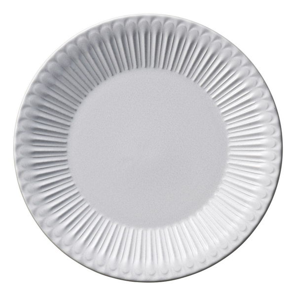 陶雅 大皿 ストーリア ラスティックホワイト 27cmプレート [2個入] tga-4718-050（直送品）