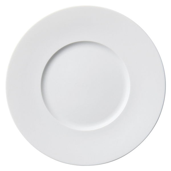陶雅 大皿 ビスクホワイトマット29cmリムプレート [1個入] tga-4818-066（直送品）