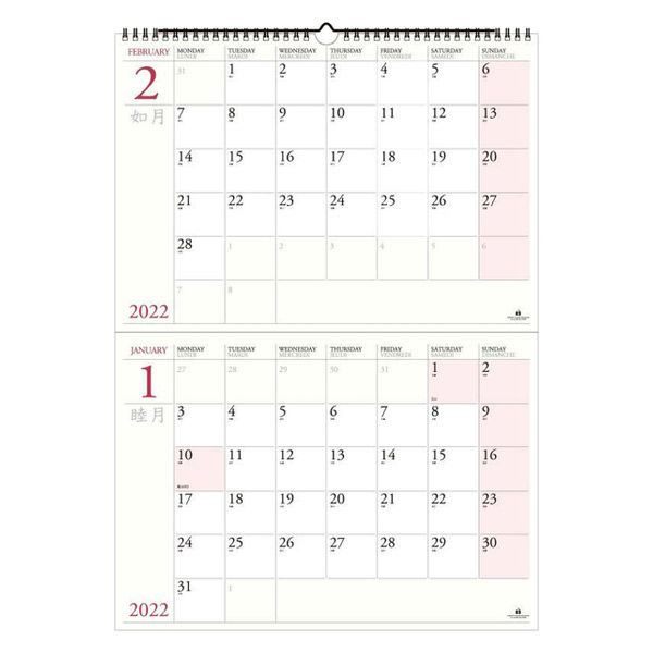 エトランジェ・ディ・コスタリカ 【2022年版】B3 壁掛けカレンダー