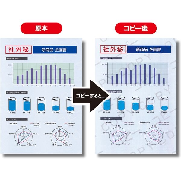 サンワサプライ マルチタイプコピー偽造防止用紙（B5・100枚入り） JP-MTCBB5N 1個